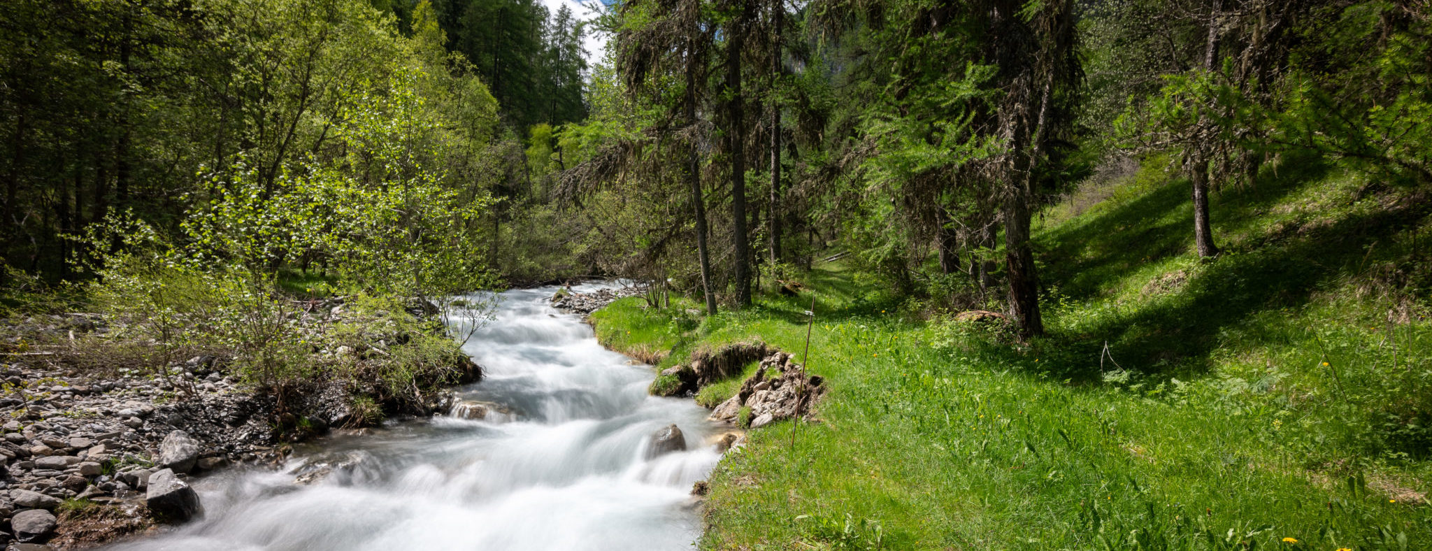 Eyssalette au niveau de la prise d'eau - 1